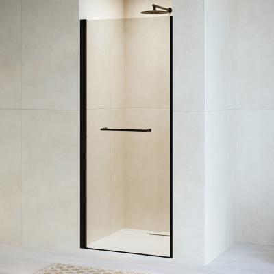 Душевая дверь RGW PA-103B 80 см