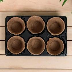 Набор для рассады ГАЗОНCITY 290*190*80 мм