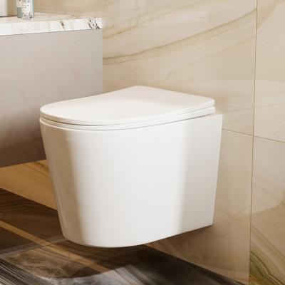 Унитаз подвесной ABBER Bequem AC1102T