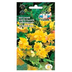 Бегония СЕДЕК Изольда F1 10 шт