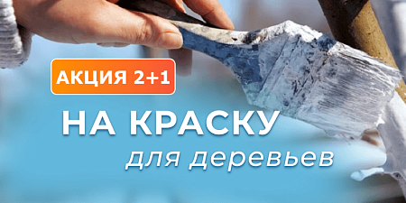 2+1 на краску для садовых деревьев