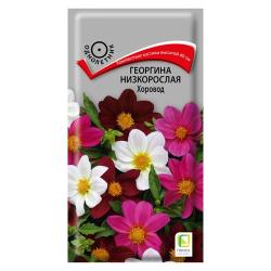 Георгина ПОИСК Хоровод 10 шт 