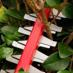 Кусторез GREENWORKS GD60HT66