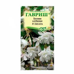 Бегония ГАВРИШ Белла F1 4 шт