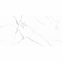 Плитка базовая ARCADIA CERAMICA Cararra White 60*120 см