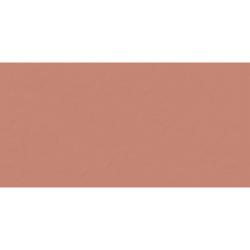 Плитка базовая ITALON Surface Scarlet 60*120 см