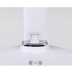 Настольная лампа AMBRELLA Desk DE520 WH Белый