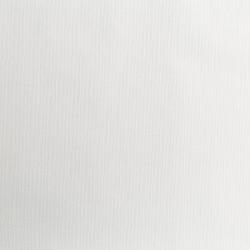 Обои ПАЛИТРА Tropic 71947-11 PL 