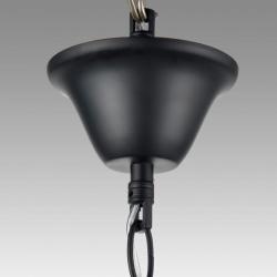 Люстра ODEON Nana 8106/6 Черный