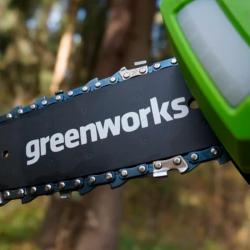 Сучкорез GREENWORKS G40PS