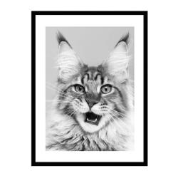 Постер МИРАМ Мейн-кун 30*40 см 230401513