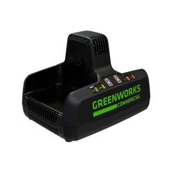 Устройство зарядное GREENWORKS G82C2