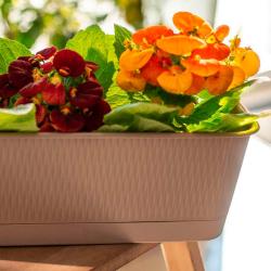 Ящик пластиковый ПРОТЭКТ Прованс Фраппе 6 л