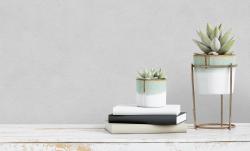 Обои ATELIERO Tempo 287257 