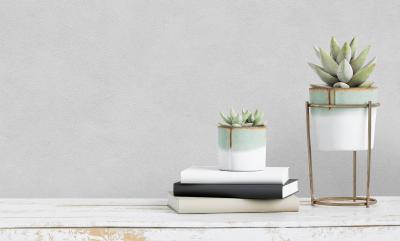 Обои ATELIERO Tempo 287257 