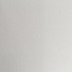 Обои ПАЛИТРА Tropic 71947-12 PL 