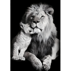 Холст 50х70 см /H-1300M/Топпостерс/