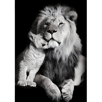 Холст 50х70 см /H-1300M/Топпостерс/