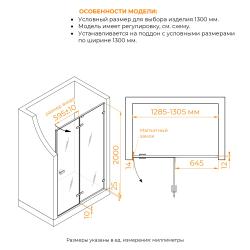Душевая дверь RGW SV-004 130 см