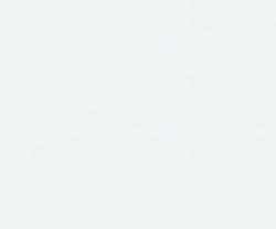 Обои ПАЛИТРА UFF 71822-11 HC