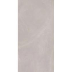 Плитка базовая ITALON Continuum Silver 60*120 см