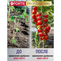 Удобрение минеральное BONA FORTE Для томатов, перцев 100 г