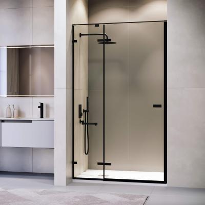 Душевая дверь RGW SV-004B 120 см