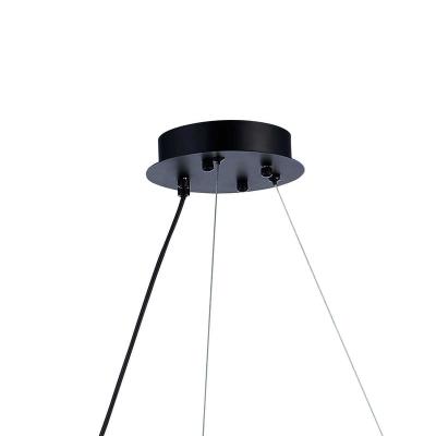 Люстра ЛАЙТ СФЕРА D2031R-DWS-14 Black Черный