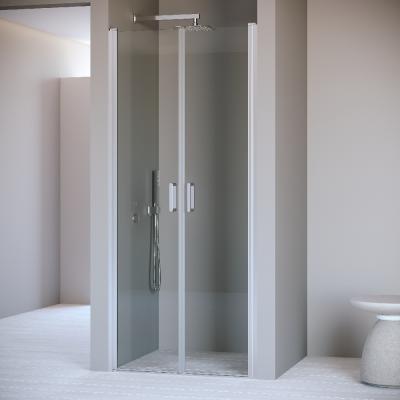 Душевая дверь RGW PA-104 80 см 