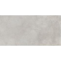 Плитка базовая ITALON Millennium Silver 60*120 см