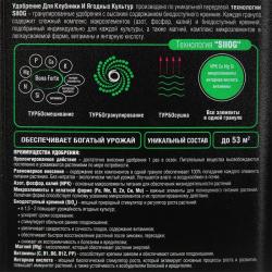Удобрение минеральное BONA FORTE Для клубники и ягод 1000 мл