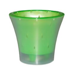 Горшок пластиковый ЛИВИНГРИН Ванда Зеленый 2 л