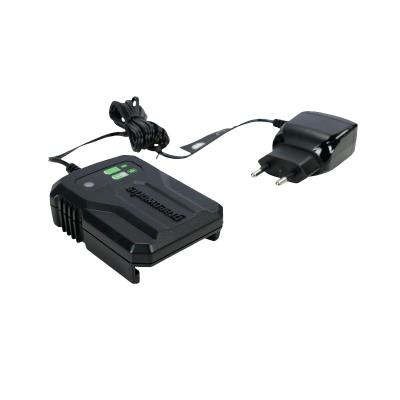 Устройство зарядное GREENWORKS G40UCM2M