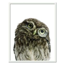 Постер МИРАМ Сова 40*50 см 240501503