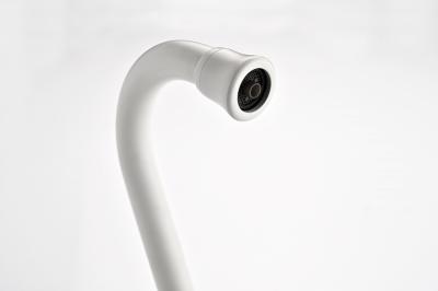 Смеситель для кухни PAULMARK Retro Re213226-431