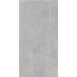 Плитка базовая COLISEUM Astro Сильвер 60*120 см