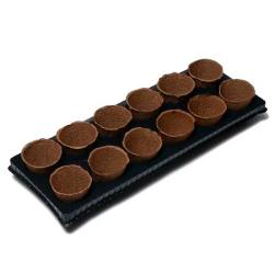 Набор для рассады ГАЗОНCITY 550*210*80 мм