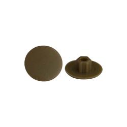 Заглушка декоративная на шестигранный шлиц дуб