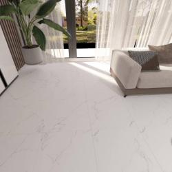 Плитка базовая ABSOLUT GRES Statuario Titan 60*60 см