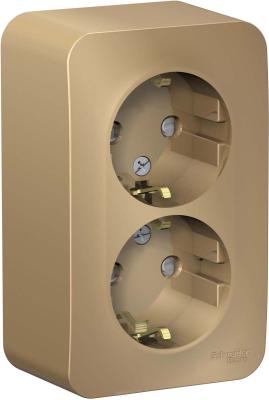 Розетка SYSTEME ELECTRIC Blanca двойная с заземлением титан BLNRA010214