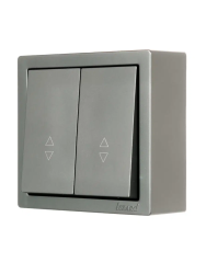 Переключатель LEZARD Leto 2 клавиши платина 752-3500-106 