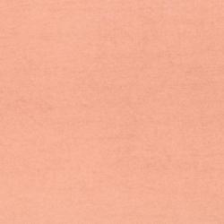 Подушка декоративная LEGRAND Канвас Синтепон Пудра 40*40 см