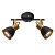 Спот ARTE LAMP Jovi A1677PL-2GO Золотистый, черный