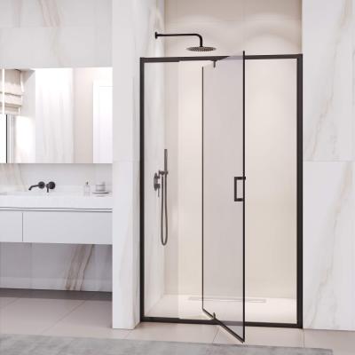 Душевая дверь RGW РА-008 В 110 см