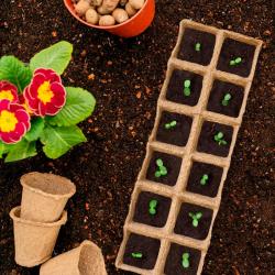 Кассета для рассады 330*110*50 мм 12 ячеек