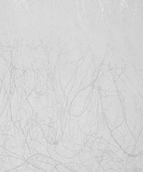 Панель ПВХ VIVIPAN Тинкс серебро 8*250*2700 мм