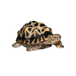 Фигурка для водоема Черепаха