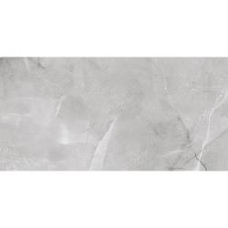Плитка базовая ABSOLUT GRES Armani Silver 60*120 см