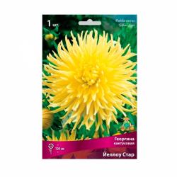 Георгина ПОИСК Йеллоу стар 0,2 г