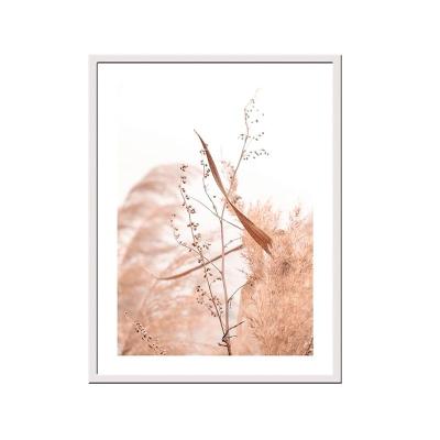 Постер в раме 30*40см Сухой тросник /230401612/Мирам/